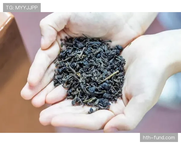 陶菲克训练一天的钱够我喝一周奶茶了吧？